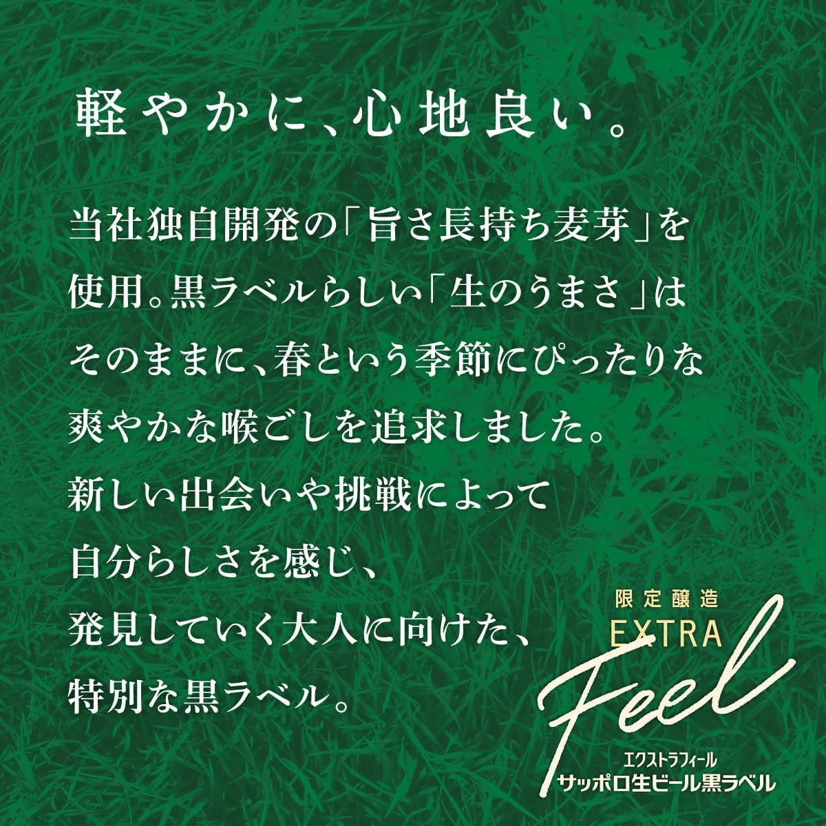 Amazon.co.jp: 【クリアランス】黒ラベル EXTRA FEEL エクストラ